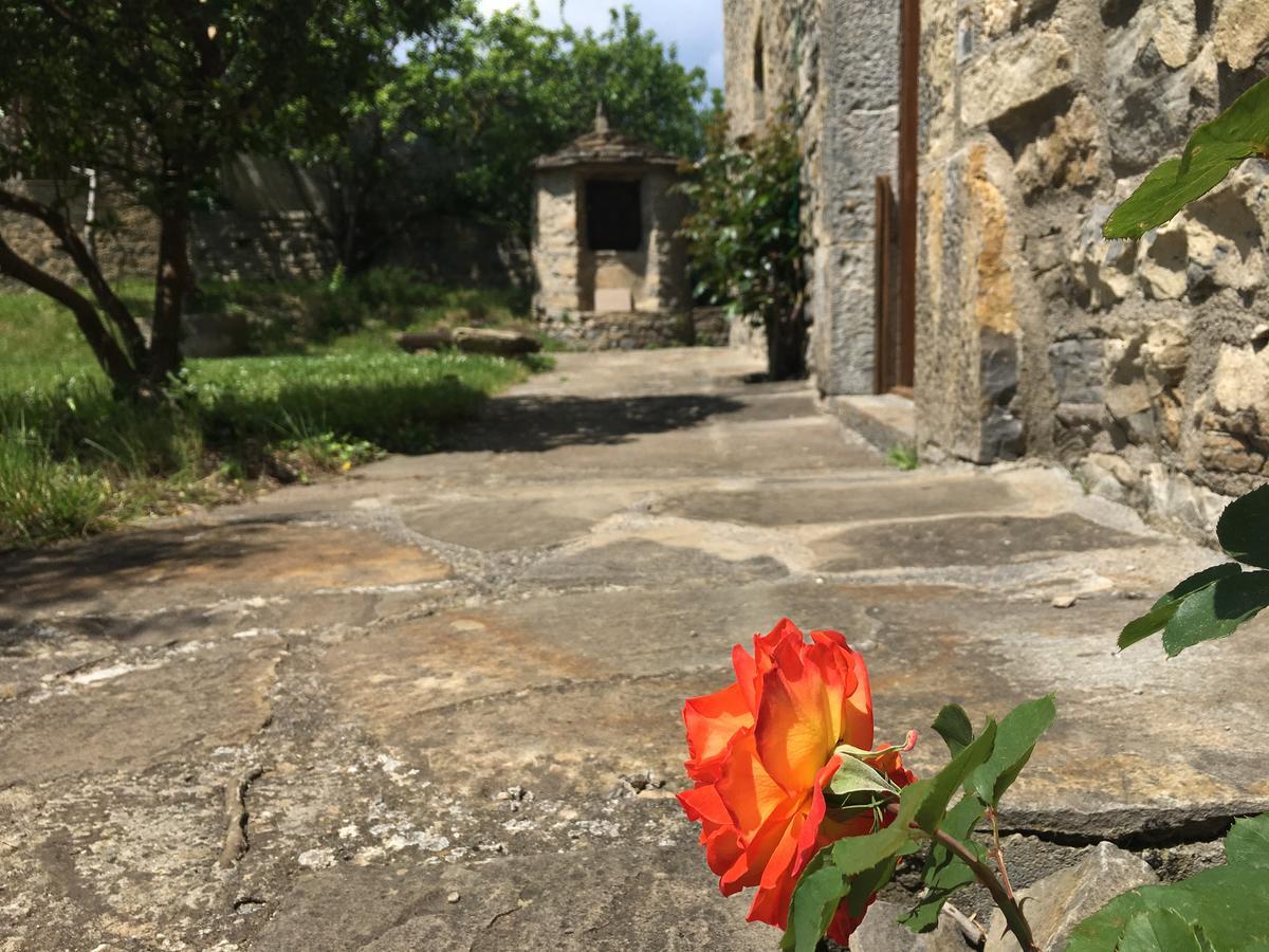 Coscojuela de Sobrarbe La Abadia 게스트하우스 외부 사진